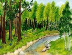 Поспішайте! Для малечі оголошено обласний конкурс дитячого малюнка «Ліс –  наше життя» – УЖЛІС – Ужгородське лісове господарство